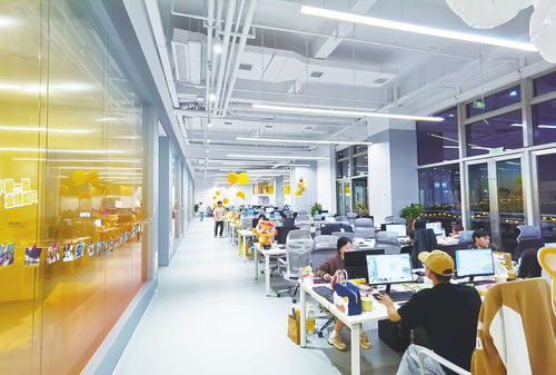 鍥而不舍 追 來10億元項目 皇家小虎 超級工廠 落戶新區背后的故事